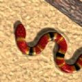 真蛇官方下载-真蛇(Real Snake)2022官方最新游戏下载
